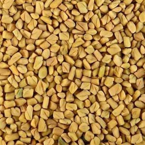 Fenugreek Seeds
